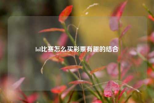 lol比赛怎么买彩票有趣的结合