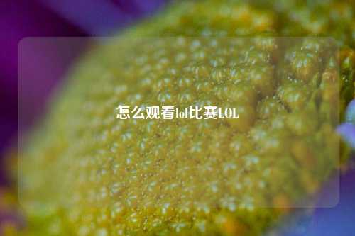 怎么观看lol比赛LOL