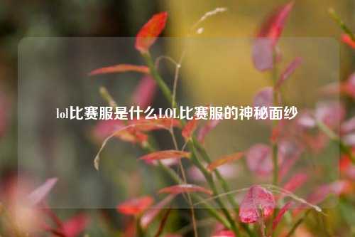 lol比赛服是什么LOL比赛服的神秘面纱