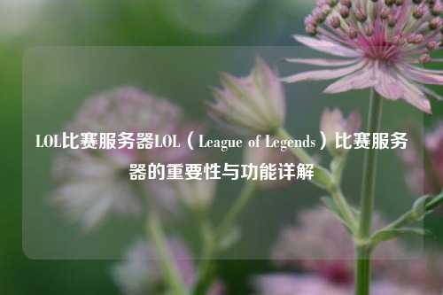 LOL比赛服务器LOL（League of Legends）比赛服务器的重要性与功能详解