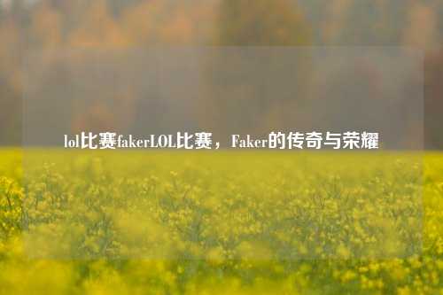 lol比赛fakerLOL比赛，Faker的传奇与荣耀