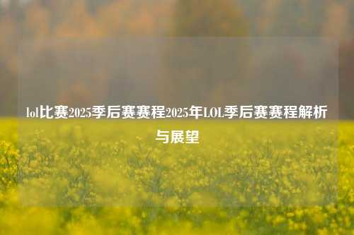 lol比赛2025季后赛赛程2025年LOL季后赛赛程解析与展望