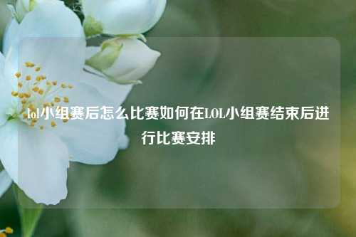 lol小组赛后怎么比赛如何在LOL小组赛结束后进行比赛安排
