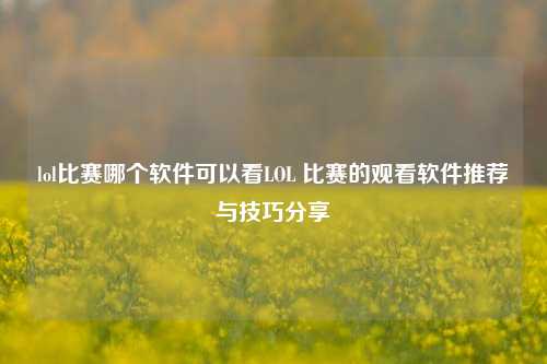 lol比赛哪个软件可以看LOL 比赛的观看软件推荐与技巧分享