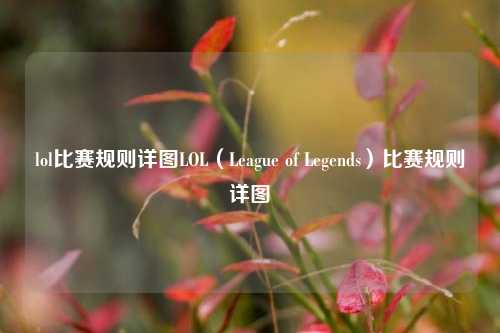 lol比赛规则详图LOL（League of Legends）比赛规则详图