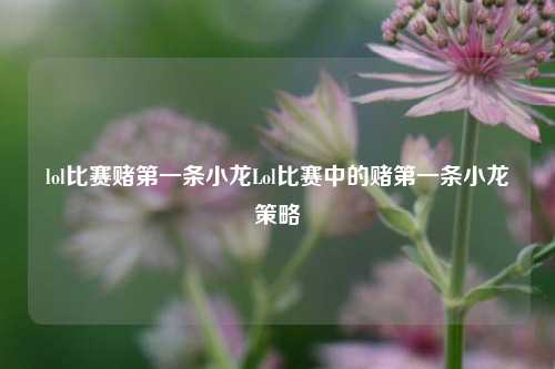 lol比赛赌第一条小龙Lol比赛中的赌第一条小龙策略