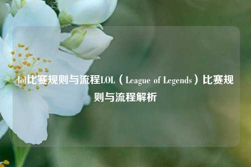 lol比赛规则与流程LOL（League of Legends）比赛规则与流程解析