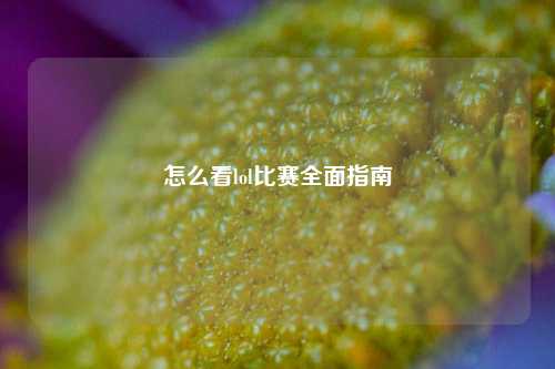 怎么看lol比赛全面指南