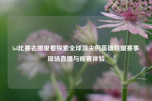 lol比赛去哪里看探索全球顶尖的英雄联盟赛事现场直播与观赛体验