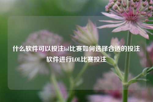 什么软件可以投注lol比赛如何选择合适的投注软件进行LOL比赛投注