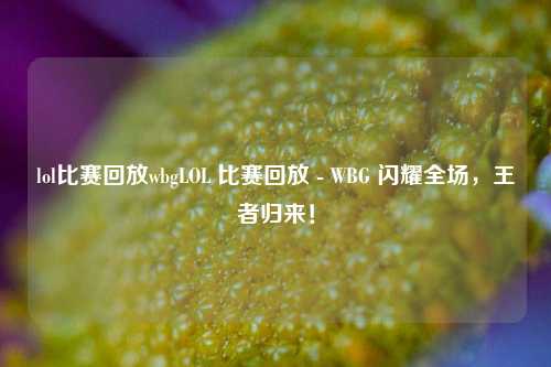 lol比赛回放wbgLOL 比赛回放 - WBG 闪耀全场，王者归来！