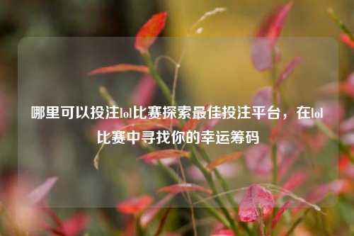 哪里可以投注lol比赛探索最佳投注平台，在lol比赛中寻找你的幸运筹码