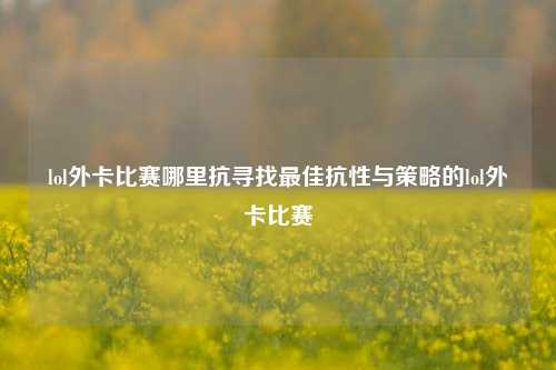 lol外卡比赛哪里抗寻找最佳抗性与策略的lol外卡比赛