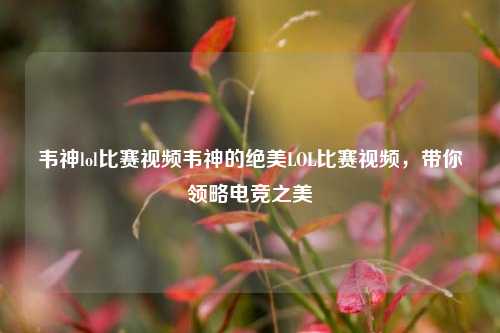 韦神lol比赛视频韦神的绝美LOL比赛视频，带你领略电竞之美