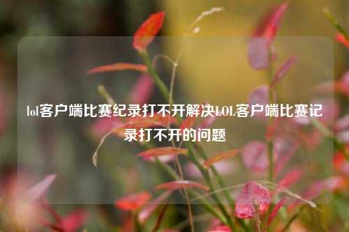 lol客户端比赛纪录打不开解决LOL客户端比赛记录打不开的问题
