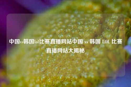 中国vs韩国lol比赛直播网站中国 vs 韩国 LOL 比赛直播网站大揭秘
