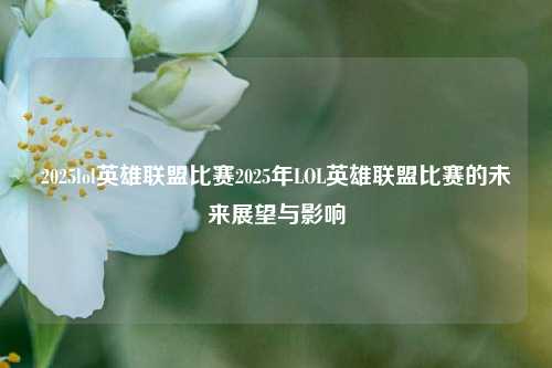 2025lol英雄联盟比赛2025年LOL英雄联盟比赛的未来展望与影响