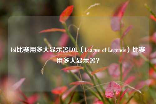lol比赛用多大显示器LOL（League of Legends）比赛用多大显示器？