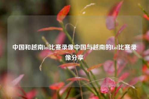 中国和越南lol比赛录像中国与越南的Lol比赛录像分享