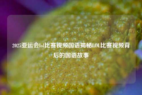2025亚运会lol比赛视频国语揭秘LOL比赛视频背后的国语故事