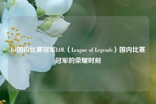 lol国内比赛冠军LOL（League of Legends）国内比赛冠军的荣耀时刻