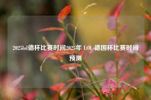 2025lol德杯比赛时间2025年 LOL 德国杯比赛时间预测