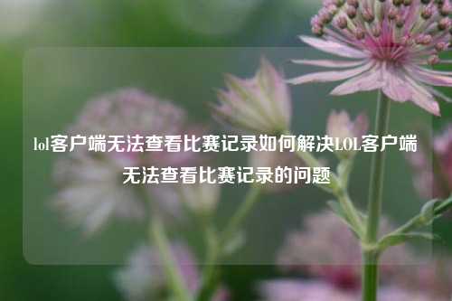 lol客户端无法查看比赛记录如何解决LOL客户端无法查看比赛记录的问题