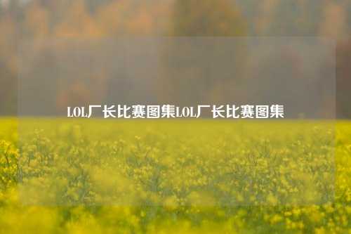 LOL厂长比赛图集LOL厂长比赛图集
