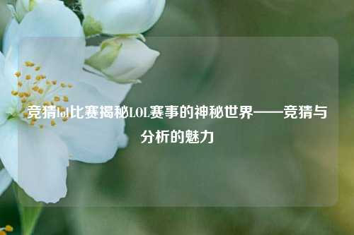 竞猜lol比赛揭秘LOL赛事的神秘世界——竞猜与分析的魅力