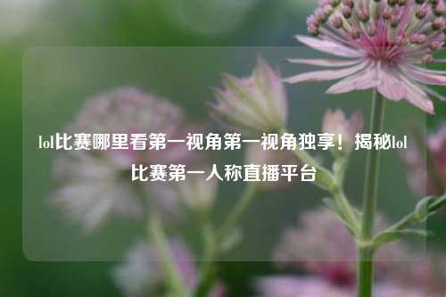lol比赛哪里看第一视角第一视角独享！揭秘lol比赛第一人称直播平台