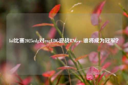 lol比赛2025edg对rngEDG迎战RNG，谁将成为冠军？