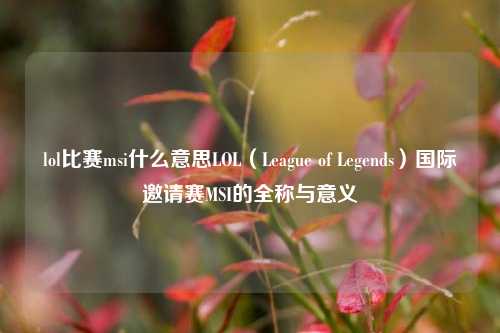 lol比赛msi什么意思LOL（League of Legends）国际邀请赛MSI的全称与意义