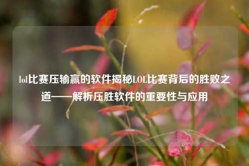 lol比赛压输赢的软件揭秘LOL比赛背后的胜败之道——解析压胜软件的重要性与应用