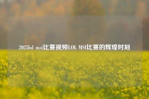 2025lol msi比赛视频LOL MSI比赛的辉煌时刻
