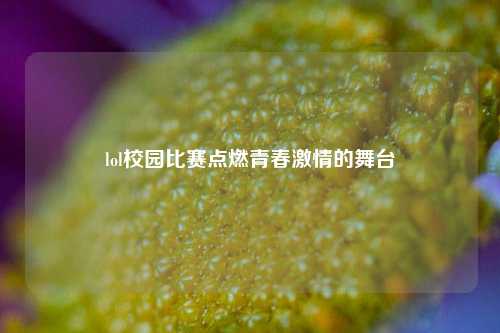 lol校园比赛点燃青春激情的舞台