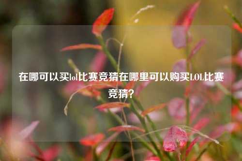 在哪可以买lol比赛竞猜在哪里可以购买LOL比赛竞猜？