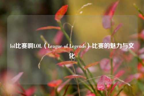 lol比赛啊LOL（League of Legends）比赛的魅力与文化