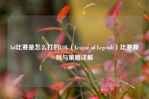 lol比赛是怎么打的LOL（League of Legends）比赛规则与策略详解