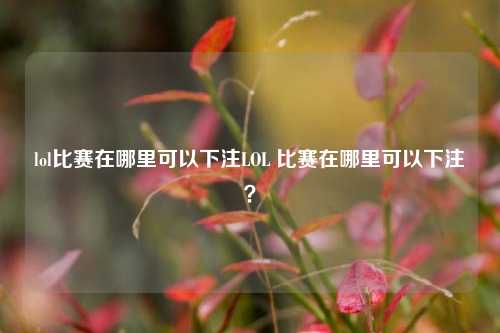 lol比赛在哪里可以下注LOL 比赛在哪里可以下注？