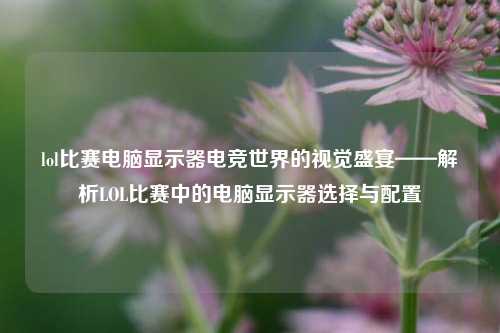 lol比赛电脑显示器电竞世界的视觉盛宴——解析LOL比赛中的电脑显示器选择与配置