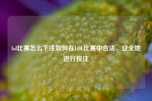 lol比赛怎么下注如何在LOL比赛中合法、安全地进行投注