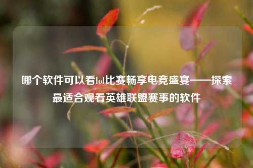 哪个软件可以看lol比赛畅享电竞盛宴——探索最适合观看英雄联盟赛事的软件