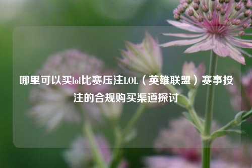 哪里可以买lol比赛压注LOL（英雄联盟）赛事投注的合规购买渠道探讨