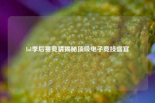 lol季后赛竞猜揭秘顶级电子竞技盛宴