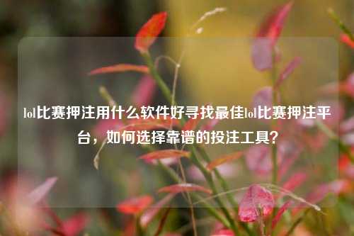 lol比赛押注用什么软件好寻找最佳lol比赛押注平台，如何选择靠谱的投注工具？