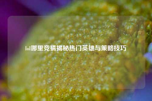 lol哪里竞猜揭秘热门英雄与策略技巧