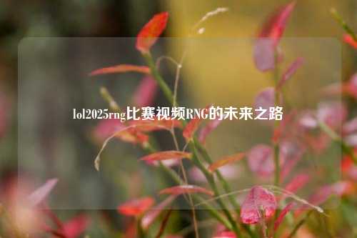 lol2025rng比赛视频RNG的未来之路