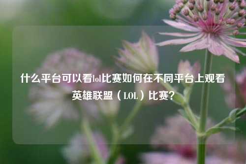 什么平台可以看lol比赛如何在不同平台上观看英雄联盟（LOL）比赛？
