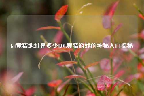 lol竞猜地址是多少LOL竞猜游戏的神秘入口揭秘