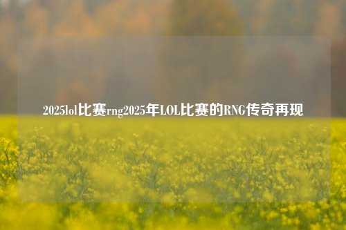 2025lol比赛rng2025年LOL比赛的RNG传奇再现